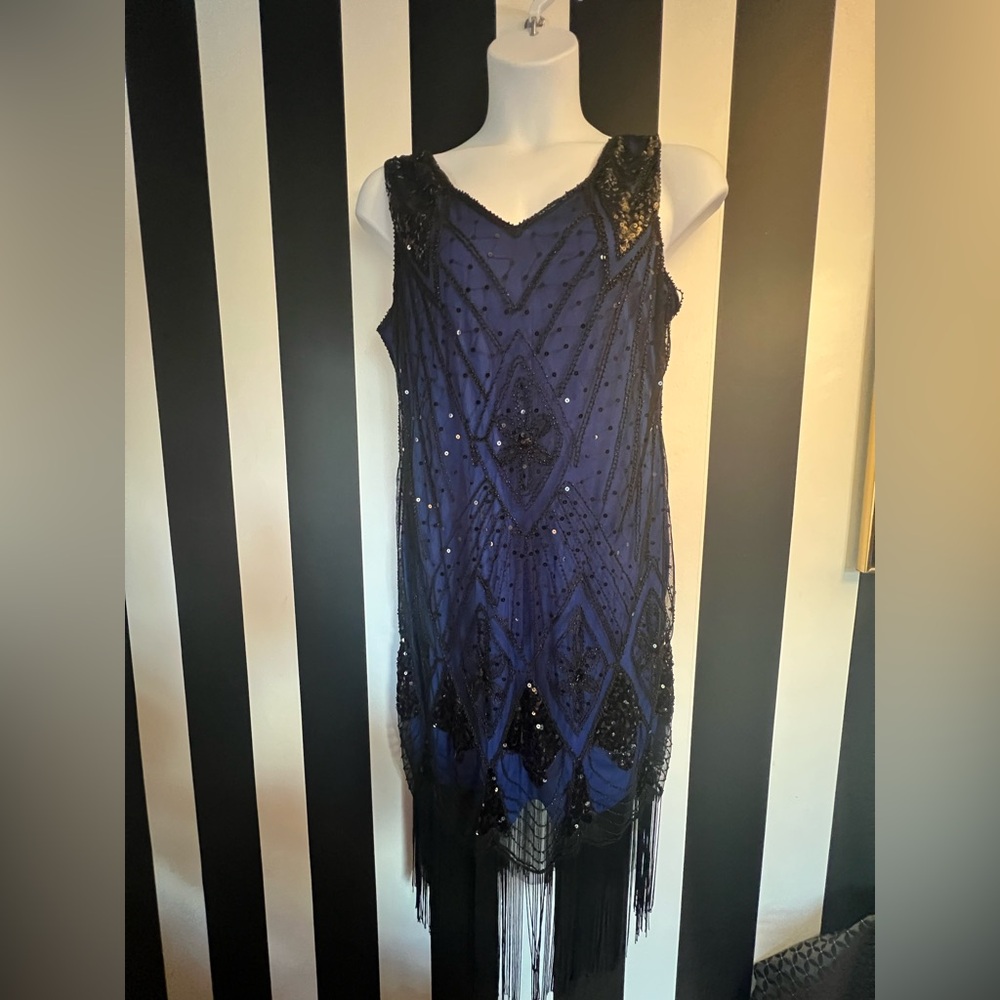 Women’s 20’s Gatsby Cocktail Sequin   Fringe Flapper Dress XXL - Picture 6 of 9